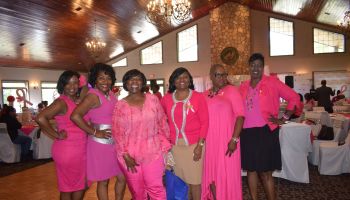 Pretty In Pink 2016