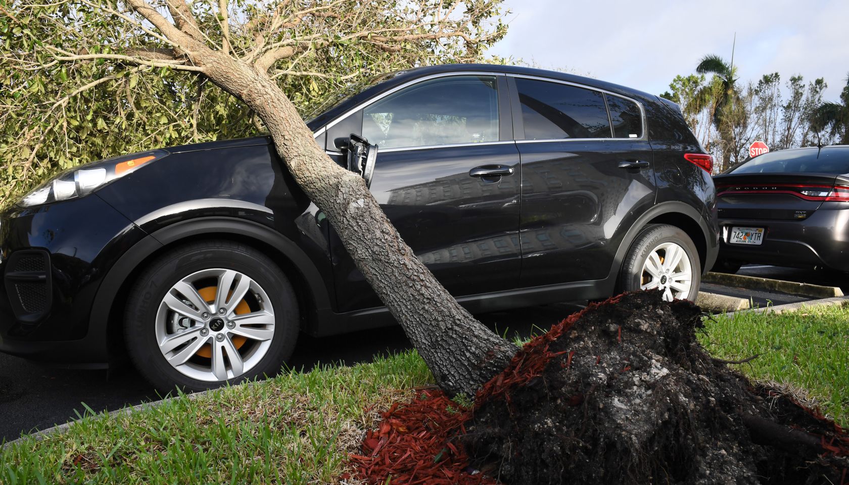Hurricane Irma - Miami, FL