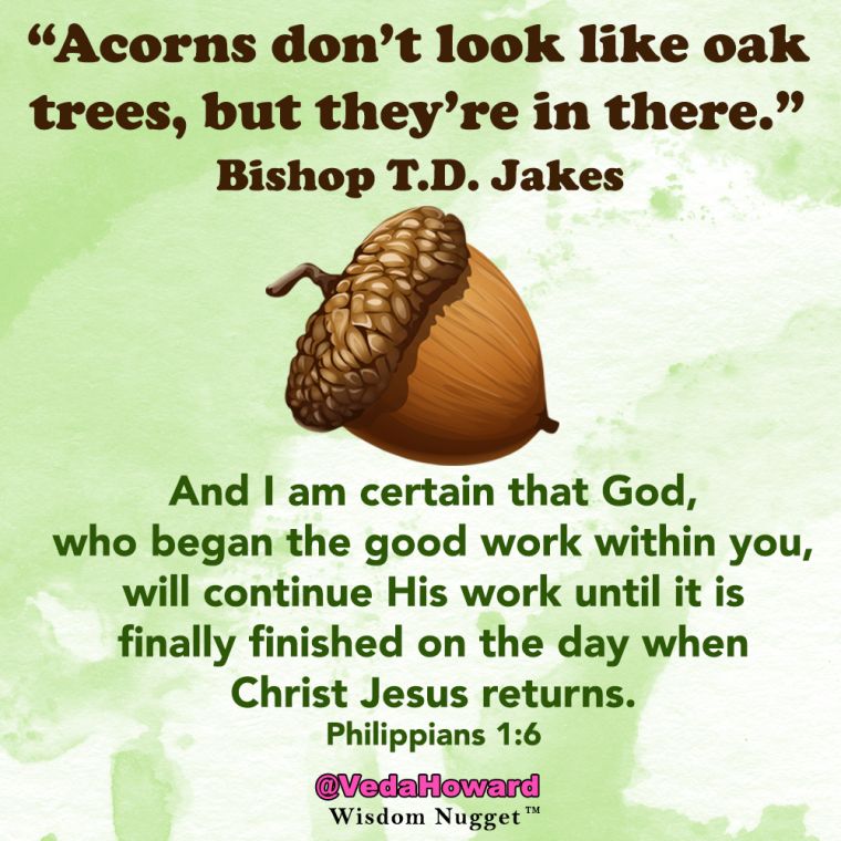 Wisdom Nuggets by Veda Howard